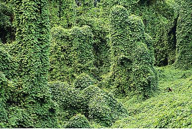 《帝国时代2决定版》“重返罗马”DLC宣传片